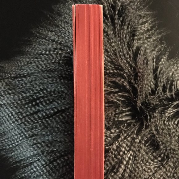 'The God of Small Things' Arundhati Roy - Picture 4 of 4